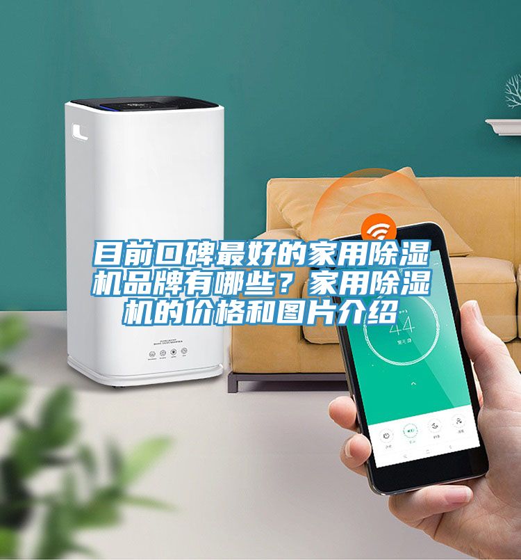 目前口碑最好的家用除湿机品牌有哪些？家用除湿机的价格和图片介绍