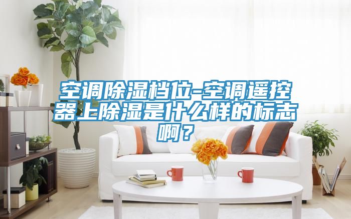空調除濕檔位-空調遙控器上除濕是什么樣的標志啊？
