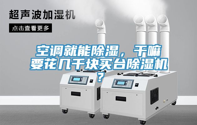 空調(diào)就能除濕，干嘛要花幾千塊買(mǎi)臺(tái)除濕機(jī)？