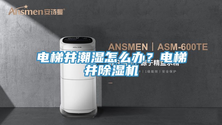 電梯井潮濕怎么辦？電梯井除濕機(jī)
