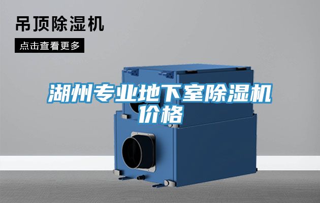 湖州专业地下室除湿机价格