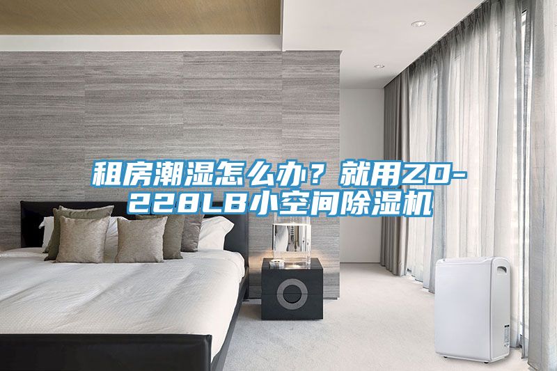租房潮濕怎么辦？就用ZD-228LB小空間除濕機(jī)