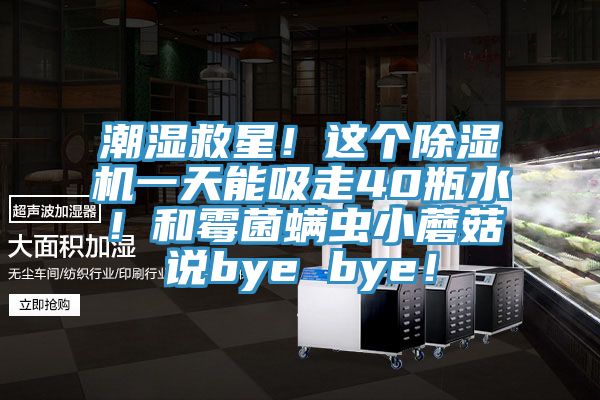 潮湿救星！这个除湿机一天能吸走40瓶水！和霉菌螨虫小蘑菇说bye bye！