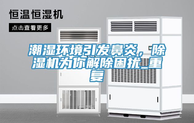 潮湿环境引发鼻炎，除湿机为你解除困扰_重复