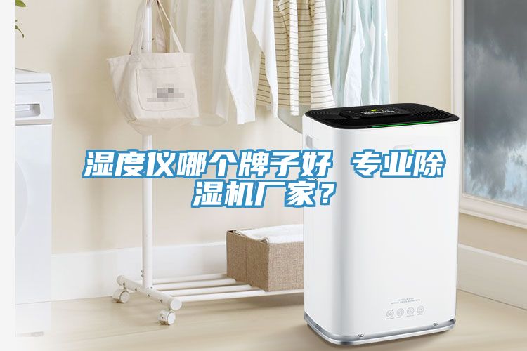 湿度仪哪个牌子好 专业除湿机厂家？