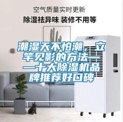 潮湿天不怕潮，立竿见影的方法——十大除湿机品牌推荐好口碑