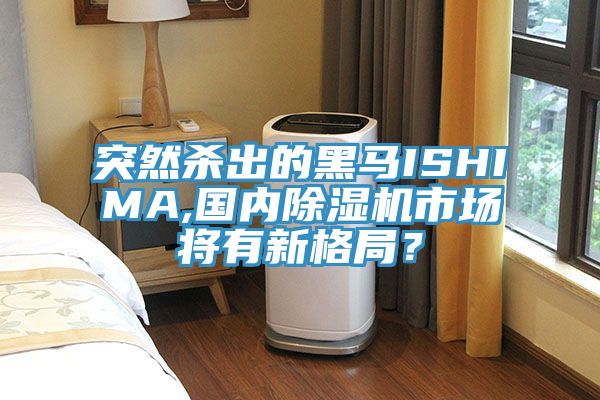 突然殺出的黑馬ISHIMA,國內(nèi)除濕機(jī)市場(chǎng)將有新格局？