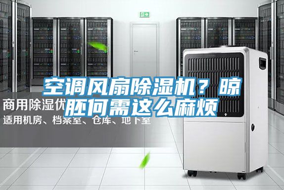 空調(diào)風(fēng)扇除濕機(jī)？晾胚何需這么麻煩