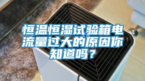 恒温恒湿试验箱电流量过大的原因你知道吗？