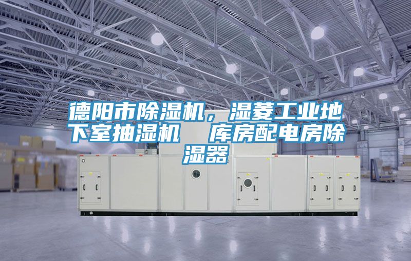 德陽(yáng)市除濕機(jī)，濕菱工業(yè)地下室抽濕機(jī)  庫(kù)房配電房除濕器