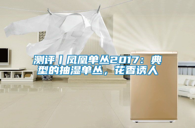 测评丨凤凰单丛2017：典型的抽湿单丛，花香诱人