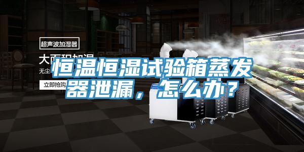 恒温恒湿试验箱蒸发器泄漏，怎么办？