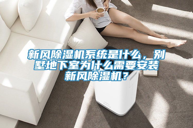 新風(fēng)除濕機(jī)系統(tǒng)是什么，別墅地下室為什么需要安裝新風(fēng)除濕機(jī)？