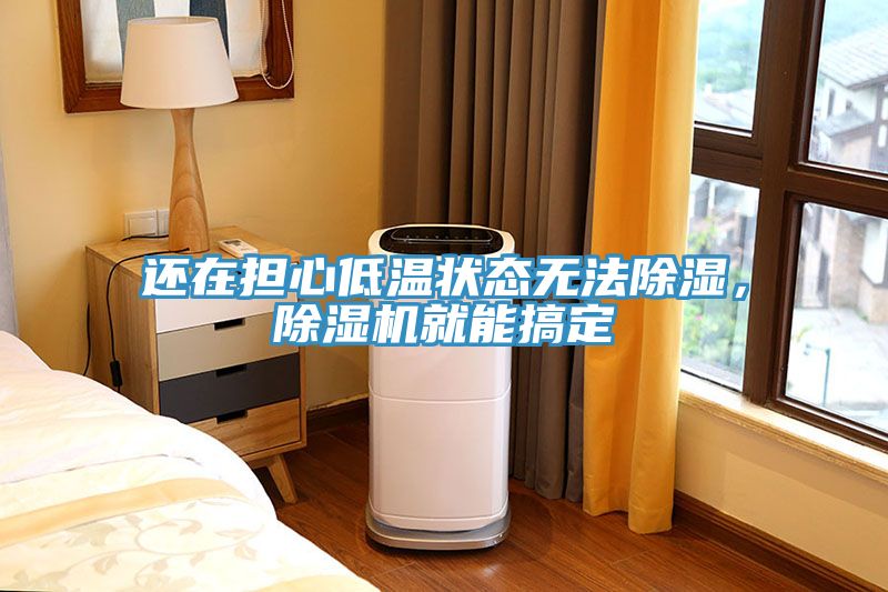 还在担心低温状态无法除湿，除湿机就能搞定