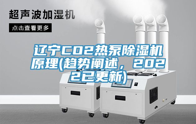 辽宁CO2热泵除湿机原理(趋势阐述，2022已更新)