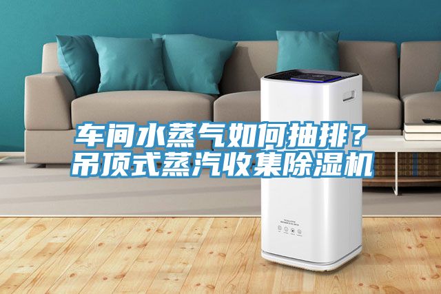 车间水蒸气如何抽排？吊顶式蒸汽收集除湿机
