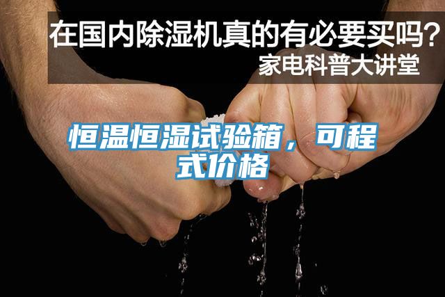 恒温恒湿试验箱，可程式价格