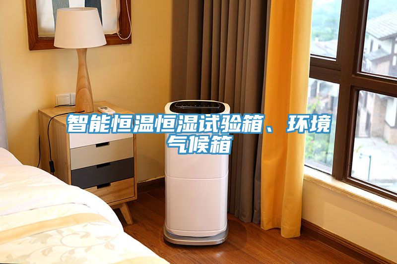 智能恒温恒湿试验箱、环境气候箱