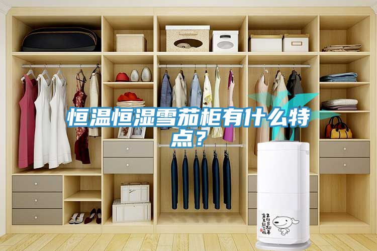 恒温恒湿雪茄柜有什么特点？