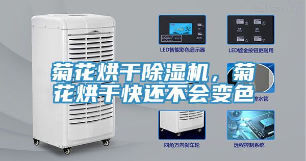 菊花烘干除湿机，菊花烘干快还不会变色