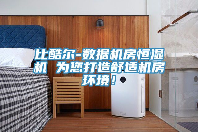 比酷尔-数据机房恒湿机 为您打造舒适机房环境！