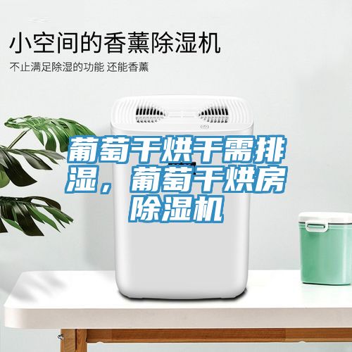 葡萄干烘干需排湿，葡萄干烘房除湿机