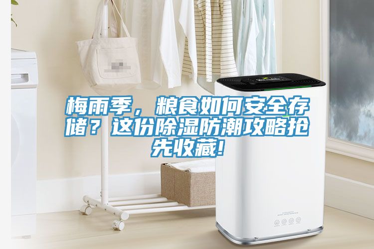 梅雨季，粮食如何安全存储？这份除湿防潮攻略抢先收藏!