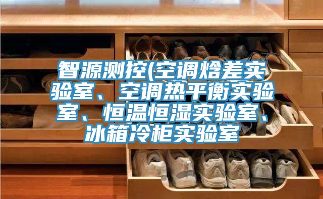智源测控(空调焓差实验室、空调热平衡实验室、恒温恒湿实验室、冰箱冷柜实验室