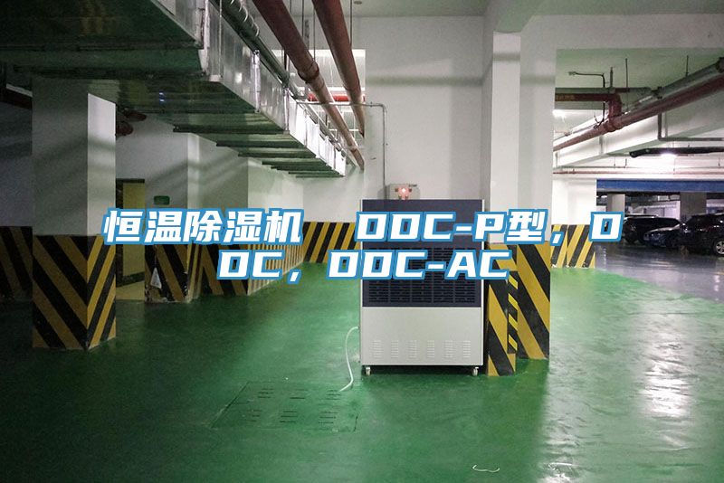 恒温除湿机  DDC-P型，DDC，DDC-AC