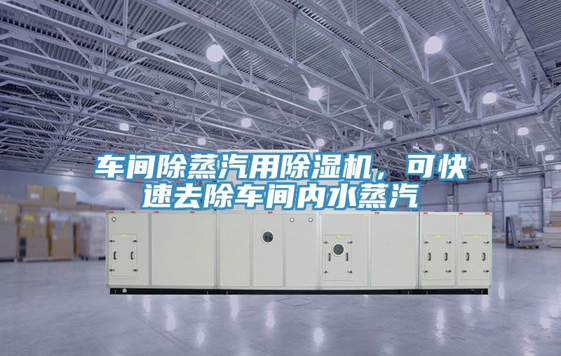 车间除蒸汽用除湿机，可快速去除车间内水蒸汽