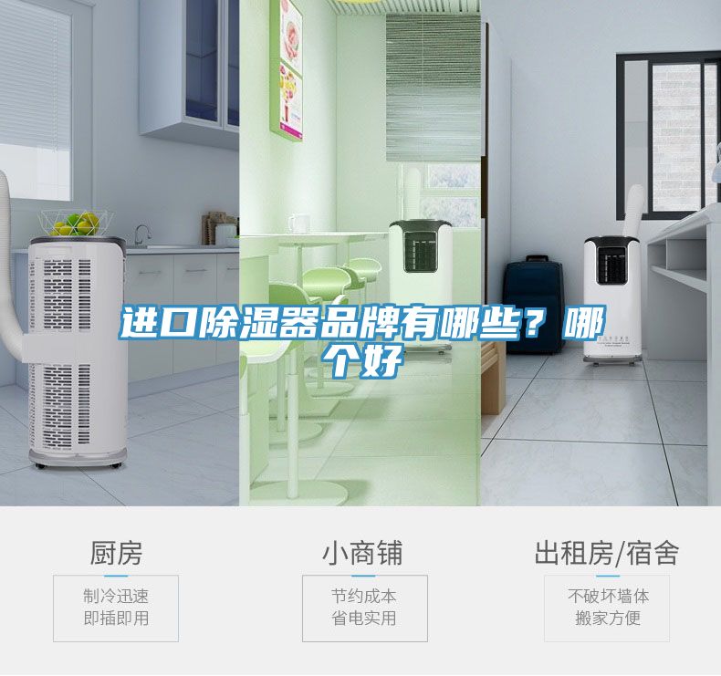 进口除湿器品牌有哪些？哪个好