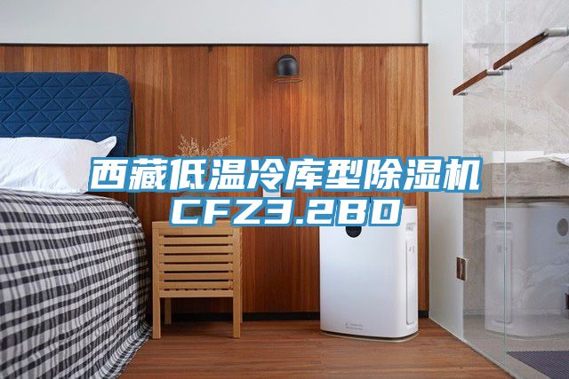 西藏低温冷库型除湿机CFZ3.2BD