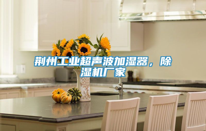 荆州工业超声波加湿器，除湿机厂家