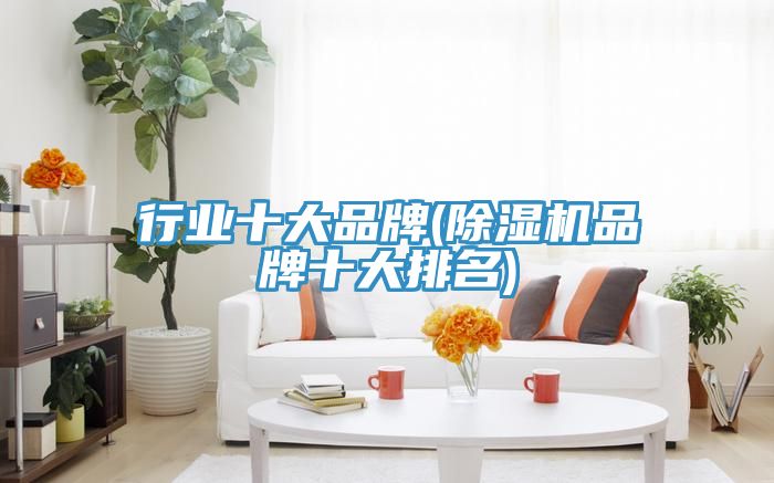 行业十大品牌(除湿机品牌十大排名)
