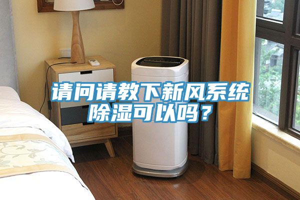 请问请教下新风系统除湿可以吗？