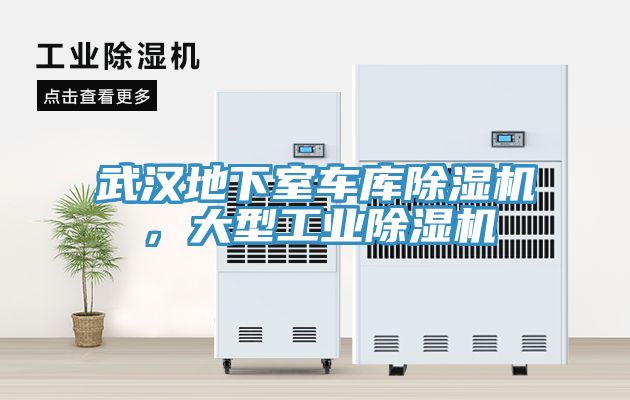 武汉地下室车库除湿机，大型工业除湿机
