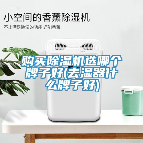 购买除湿机选哪个牌子好(去湿器什么牌子好)