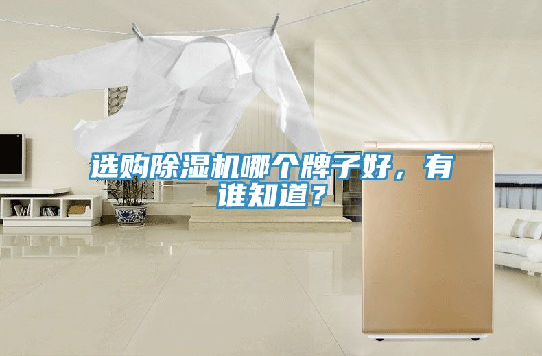 选购除湿机哪个牌子好，有谁知道？