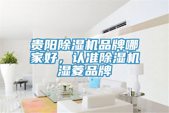 贵阳除湿机品牌哪家好，认准除湿机湿菱品牌