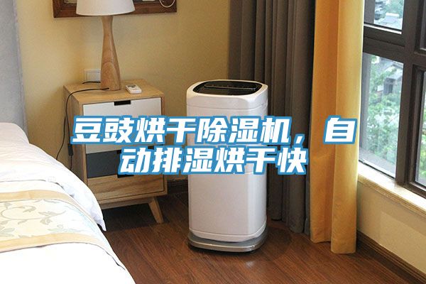 豆豉烘干除湿机，自动排湿烘干快