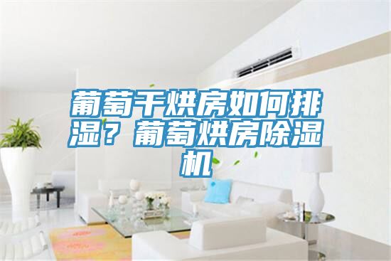 葡萄干烘房如何排湿？葡萄烘房除湿机