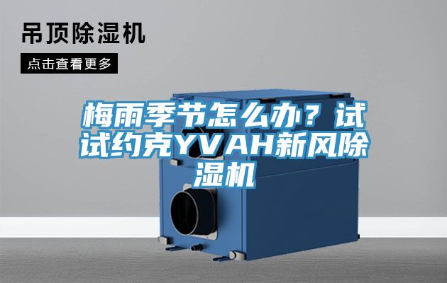 梅雨季节怎么办？试试约克YVAH新风除湿机