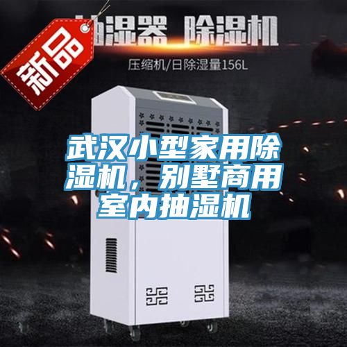 武汉小型家用除湿机，别墅商用室内抽湿机