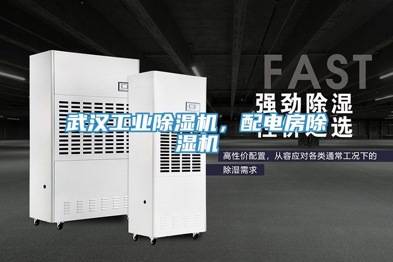 武汉工业除湿机，配电房除湿机