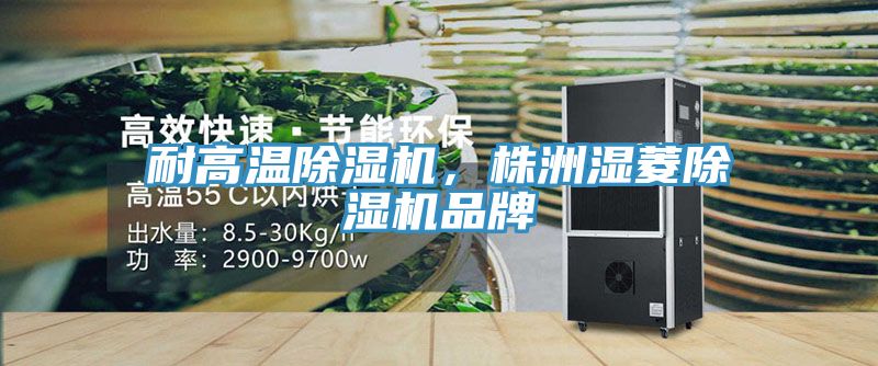 耐高温除湿机，株洲湿菱除湿机品牌