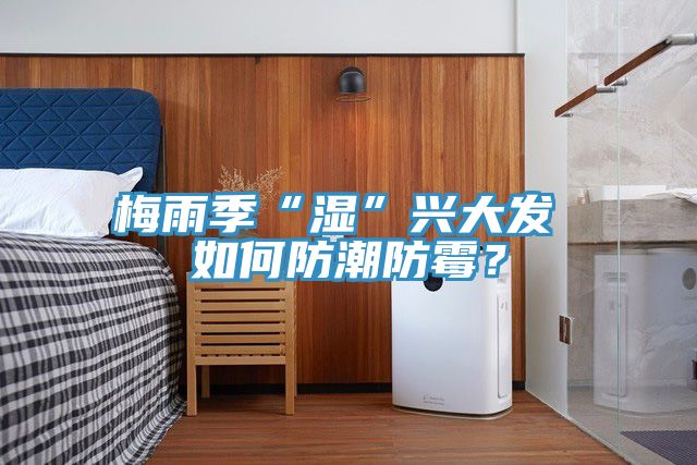 梅雨季“湿”兴大发 如何防潮防霉？