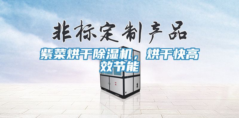 紫菜烘干除濕機，烘干快高效節(jié)能