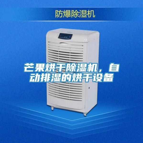 芒果烘干除濕機，自動排濕的烘干設(shè)備