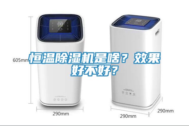 恒温除湿机是啥？效果好不好？