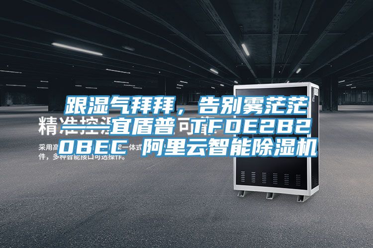 跟湿气拜拜，告别雾茫?！硕芷?TFDE2B20BEC 阿里云智能除湿机
